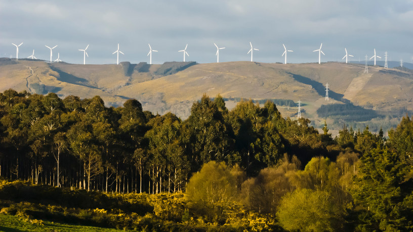 Investir em energia renovável garante sustentabilidade e vantagem estratégica, explica Cicero Viana Filho.