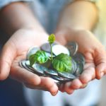 Mãos seguram moedas enquanto uma planta verde cresce entre elas.