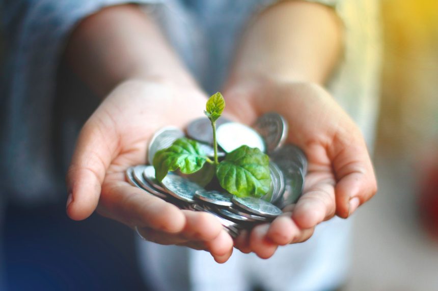 Mãos seguram moedas enquanto uma planta verde cresce entre elas.